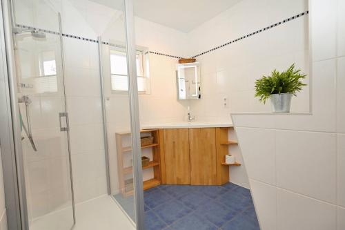 un bagno con doccia e lavandino di Ferienhaus Dörte a Hohwacht