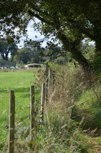 a wooden fence in a field with a tree at Gîte du Dolmen in Guiscriff