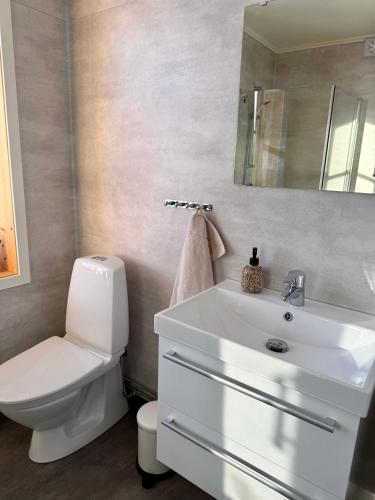 a bathroom with a white sink and a toilet at Snöbergets Arctic Cabin in Luleå
