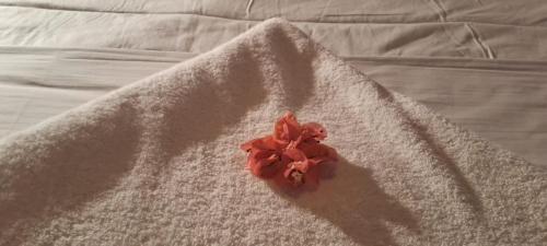 a toy action figure sitting on a blanket on a bed at Pasikuda Shalom Beach Villa in Kalkudah