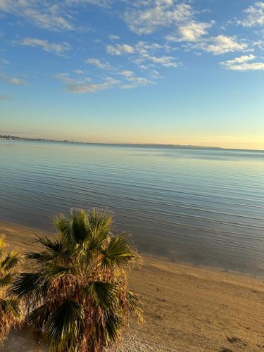Beachfront Superior Apartment