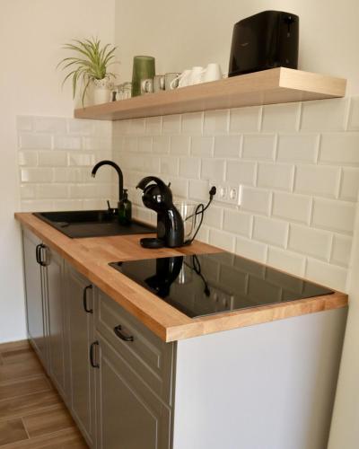 a kitchen with a sink and a counter top at Fenyőudvar Vendégház Mocsa in Mocsa