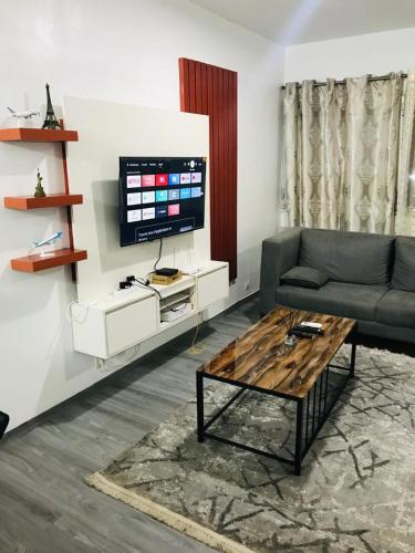 TV a/nebo společenská místnost v ubytování Appartement HAP