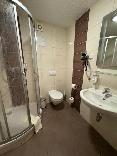 a bathroom with a shower and a toilet and a sink at Gasthaus Kupfer in Stolberg