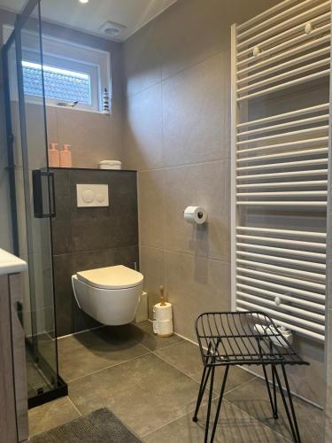a bathroom with a toilet and a chair in it at Zijperbries in Oudesluis