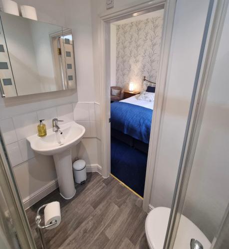 a bathroom with a sink and a toilet and a bed at Bod Gwynedd Bed and Breakfast in Betws-y-coed