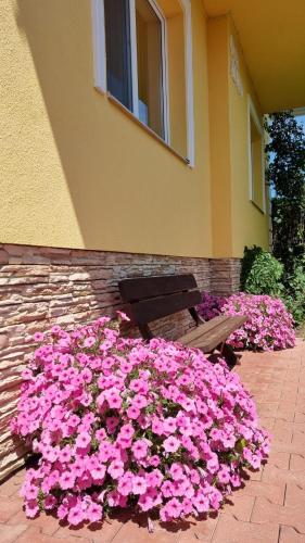 a bench sitting next to a bunch of pink flowers at Vila Adria in Hrabušice