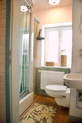 a bathroom with a shower and a toilet and a sink at Haus-Selma in Lüneburg