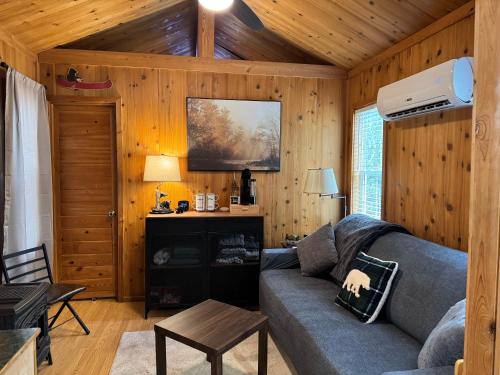 a living room with a couch and a fireplace at Quiet Mountain Top, Pet Friendly, Private Deck in Boone
