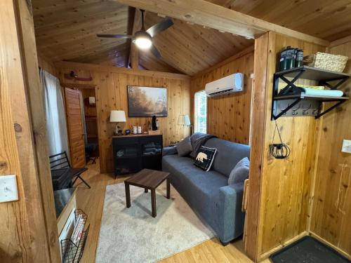 a living room with a blue couch in a cabin at Quiet Mountain Top, Pet Friendly, Private Deck in Boone