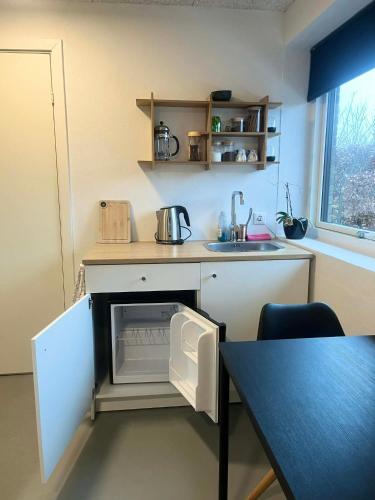 a small kitchen with a sink and a refrigerator at Vejle, Urhoej - Guest Suite in Vejle