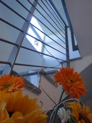 a bunch of flowers in a vase next to a window at Residence Rivachiara (check-in at Hotel Riviera in Viale Rovereto, 95) in Riva del Garda