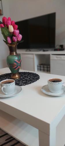 Cute little apartment