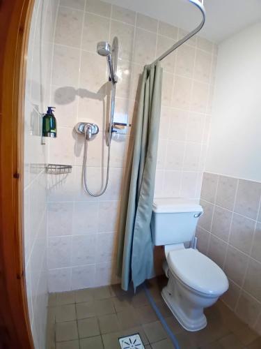 a bathroom with a toilet and a shower at Deveron Lodge B&B in Turriff