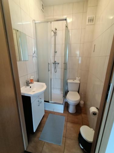 a bathroom with a shower and a toilet and a sink at Hotelik -Świerki in Swarzędz