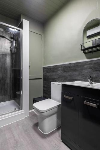 a bathroom with a toilet and a sink and a shower at Caledonia Suite by The Wallace Monument in Stirling