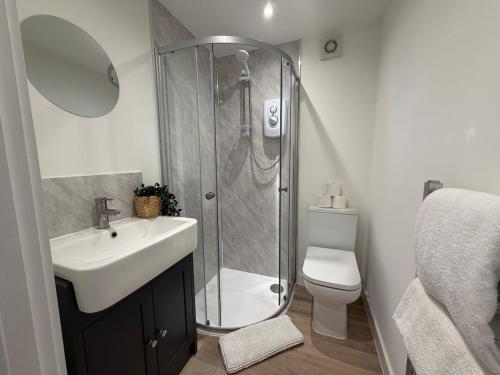a bathroom with a shower and a sink and a toilet at Rosewell Lower Dicker in Horsebridge