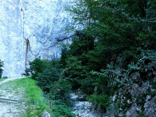 a rocky mountain with trees on the side of a trail at Palais Cathare in Bélesta