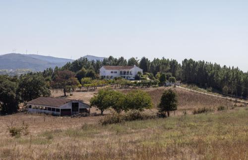 a house on top of a hill in a field at Quinta Vale Leitão in Coimbra