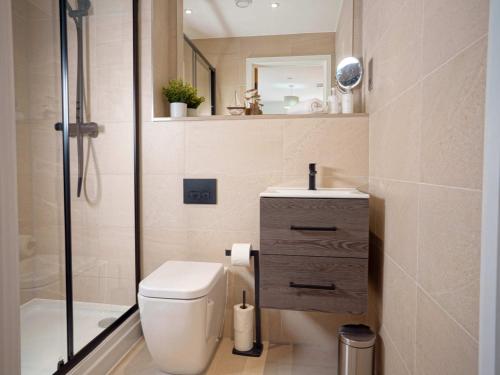 a bathroom with a toilet and a sink and a shower at Rock Mill 1 Bed Apartment 36 in Stony Middleton