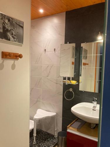 a small bathroom with a sink and a toilet at Appartement contemporain Les Tulipes, 2 personnes à 300 m du lac de Gérardmer in Gérardmer