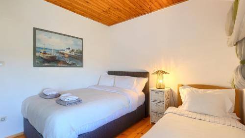 Beautiful Villa Casa Romantica with pool in Umag