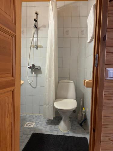 a bathroom with a toilet and a shower at Runneröd in Saltvik