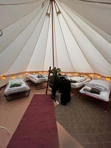 a room with a tent with beds in it at Ulvsby Ranch Glamping in Karlstad