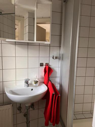 a bathroom with a sink and a red towel at seeglueck Retro Am Münster in Konstanz