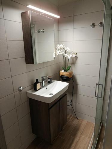 a bathroom with a sink and a mirror and flowers at Antoine Apartment in Nea Peramos