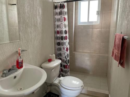 a bathroom with a sink and a toilet and a shower at Cómodo y lindo departamento cerca de las playas in Mezcales