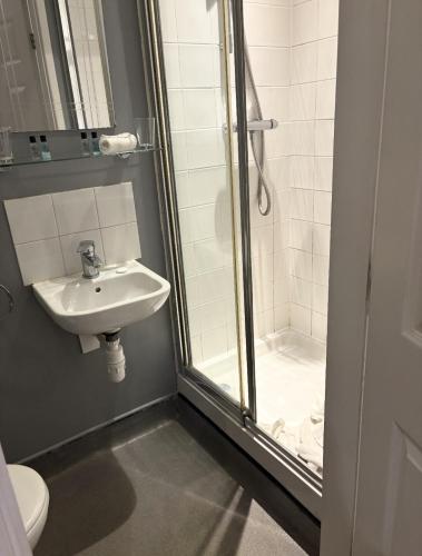 a bathroom with a shower and a sink and a toilet at The Three Horseshoes Boutique Rooms in Dunstall