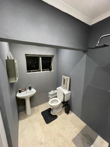 a bathroom with a toilet and a sink at Mtunzini Rustic Retreat in Mtunzini