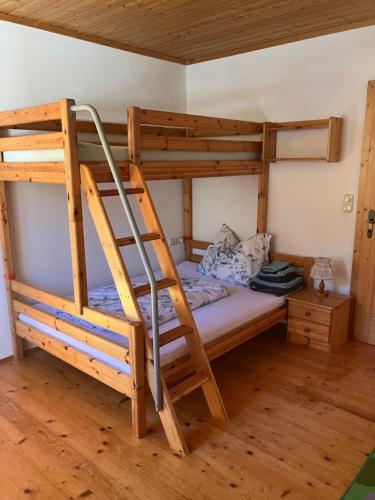 a bunk bed with a ladder in a room at Bio-Ferienhof Hotz in Spital am Pyhrn