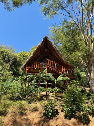 Itsalifestyle Jungle Cabana