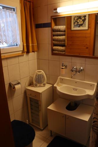 a small bathroom with a sink and a toilet at Ferienhaus Fernblick in Fraxern