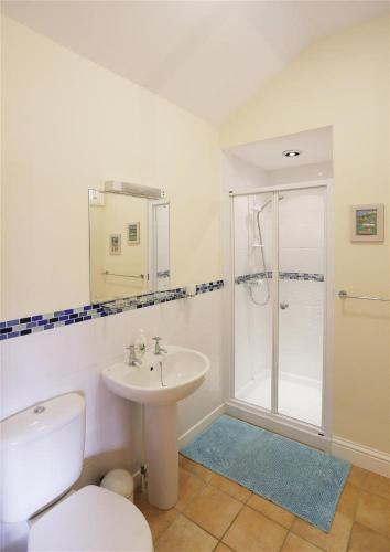 a bathroom with a toilet and a sink and a shower at 1 Bed in Beccles oc-hfs in Wangford