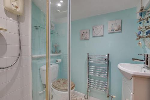 a bathroom with a shower and a toilet and a sink at 1 Bed in St. Ives oc-drift4 in St Ives
