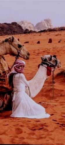 Wadi Rum Sand moon Camp &Tour