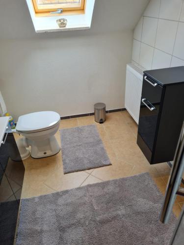 a bathroom with a toilet and a small refrigerator at Ferienwohnung Sonnenschein mit Sauna und Billiard in Wachstein