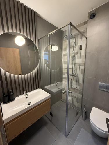 a bathroom with a shower and a sink and a toilet at The Balaton Nest! in Alsóörs