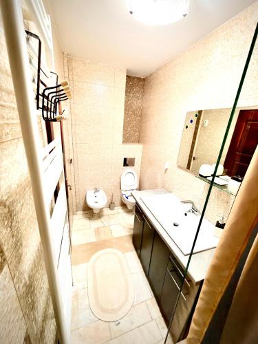 a bathroom with a toilet and a sink and a mirror at La Mansardă in Câmpulung