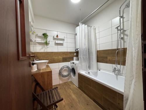 a bathroom with a sink and a washing machine at Ubytování Resslova in Ústí nad Labem