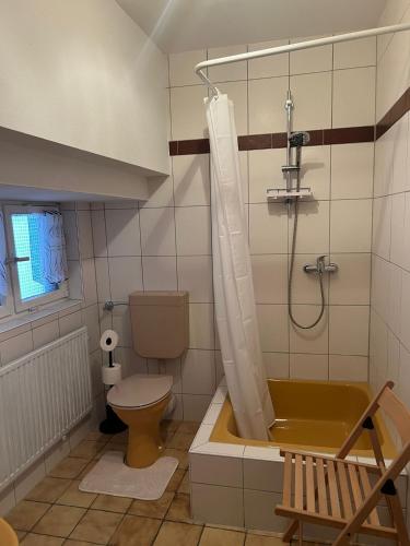a bathroom with a toilet and a shower with a tub at Ruheoase in Konz-Könen in Konz