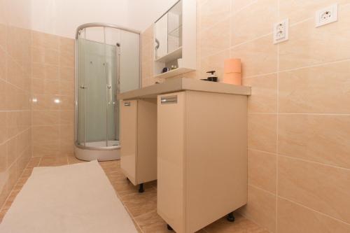 a bathroom with a shower and a sink and a toilet at Butterfly Home Danube in Budapest