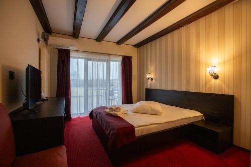 a hotel room with a bed and a window at Pensiunea Andreea in Baia de Fier