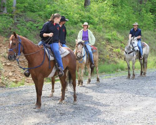 um grupo de pessoas andando a cavalo em uma estrada de terra em Mt Mitchell Cabin Rentals em Busick