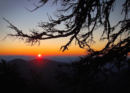 Mt Mitchell Cabin Rentals – Photos 3