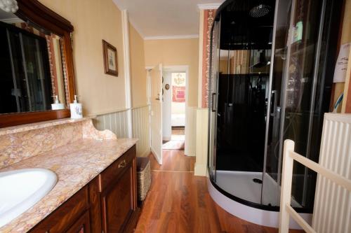 a bathroom with a shower and a sink at Hof ter Wallen in Zoutleeuw
