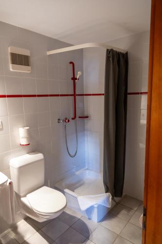 a bathroom with a toilet and a shower in it at Le Vieux Valais in Ovronnaz